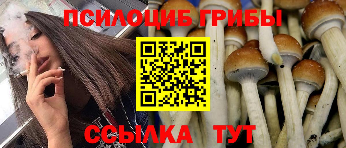 Псилоцибиновые грибы MAGIC MUSHROOMS Коломна