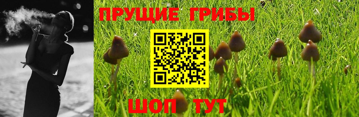 Коломна  Псилоцибиновые грибы MAGIC MUSHROOMS  Вход с VPN 